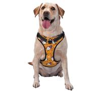 Halloween Witches Gnome Pattern Dog Harness - Lightweight,Soft,Adjustable Small Harness and Leash Set, Suitable for Puppy Small and Medium-Sized Dog-Medium