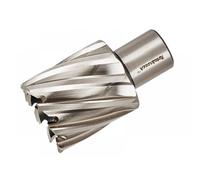 Halls RAP220 Rotabroach™ Hss Raptor Cutter 22 X 25Mm