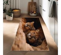 Hallway Animal Cave Lion Runner Rug 80 x 120 cm, Nature Photography Printed Non-Slip Carpet Runners, Washable Entrance Kitchen Long Carpet for Living Room Entryway Bathroom Laundry Room