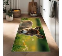 Hallway Farmland Flowers Animals Donkey Runner Rug 80 x 120 cm, Nature Photography Printed Non-Slip Carpet Runners - Washable Entrance Kitchen Long Carpet for Living Room Bathroom Laundry Room