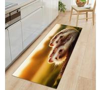 Hallway Sunset Meadow Animals Hedgehog Runner Rug 40 x 120 cm, Nature Photography Printed Non-slip Carpet Runners - Washable Entrance Kitchen Long Carpet for Living Room Entryway Bathroom Laundry Room