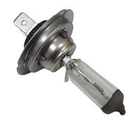 Halogen Auto Bulb - H7 Cap PX26d 24V 70W