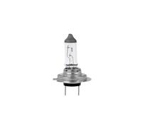 HALOGEN BULB M-TECH H7 12V 55W PX26D