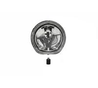 Halogen fog lamp both sides H1 712416301129 MAGNETI MARELLI for FIAT PEUGEOT