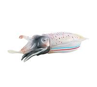Haloppe Mollusca Model Early Learning Sea Animal Figurine Model Desktop Decoration Eco-Friendly C