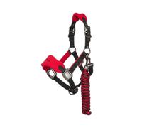 Halter and lead rope for horse LeMieux Mini Vogue