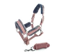 Halter and lead rope set for horse Equestrian Stockholm