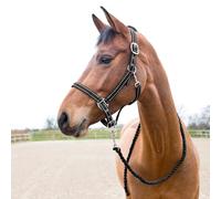 Halter and lead rope set for horse Horze Cooper
