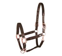Halter for cob Star Mix
