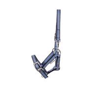 Halter for foal and yearling Kavalkade