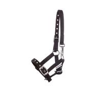 Halter for foal and yearling Kavalkade