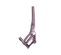Halter for foal and yearling Kavalkade