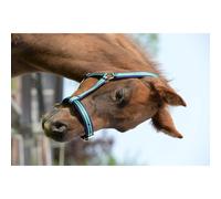 Halter for foal Bucas Dublin