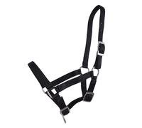 Halter for foal Q-essentials