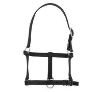 Halter for foal Riding World