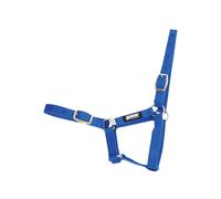 Halter for foal Roma Foal