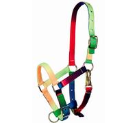 Halter for foal Tattini