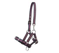 Halter for foals and yearlings Kavalkade