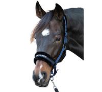 Halter for horse Harry's Horse Lyrics Quotes
