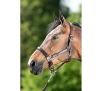 Halter for horse HFI First