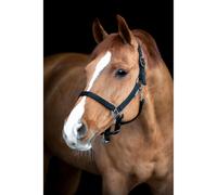 Halter for horse HorseGuard Saby