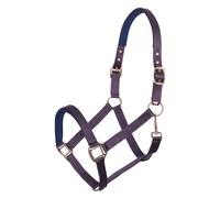 Halter for horse Imperial Riding Classic Sport