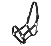 Imperial Riding Headcollar IRH-Rebel - Shiny Satin Polyester, Heavy Duty Nylon Base, Black Metal Fittings & Logo Coin Detail, Stylish Premium Headcollar for Stable & Willow, Black, Cob