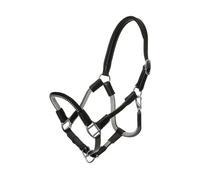 Halter for horse in reins Kavalkade Cavo