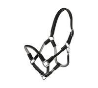 Halter for horse in reins Kavalkade Cavo