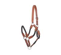 Halter for horse in reins Kavalkade Cavo