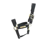 Halter for horse Kentucky Velvet