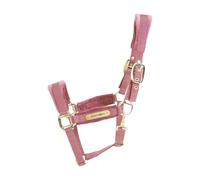 Halter for horse Kentucky Velvet