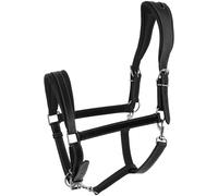 Halter for horse Norton Ardennais