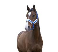 Halter for horse Norton Confort