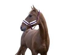 Halter for horse Norton Confort