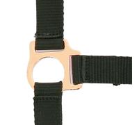 Halter for horse Norton Rose gold
