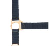 Halter for horse Norton Rose gold
