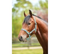 Halter for horse Roma Stripe