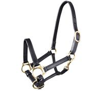 Halter for horse Star