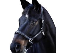 Halter for horse USG Lovely