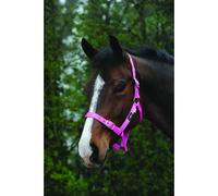 Halter for horse Weatherbeeta Saxon Economy