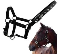 Halter for Horses Adjustable 1" Wide PP Webbing Horse Halter with Metal Hardware for Training, Black Color, L