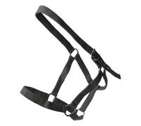 Halter For Horses - Adjustable Training Leading Equestrian Harness