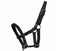 Halter for Mini Shetties - Black
