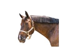 Halter for pony Kentucky Breakaway