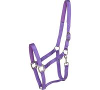 Halter for Shetland HorseGuard Nylon
