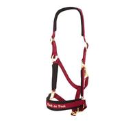 Halter werano Back on Track