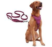 Halti Anatomy Harness & Multi Lead Set | Harness L, Lead L, Magenta | Padded, Adjustable & Reflective No Pull Dog Harness | Shock-Absorbing Multi-Lead for Large Dogs