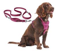 Halti Anatomy Harness & Multi Lead Set | Harness M, Lead L, Magenta | Padded, Adjustable & Reflective No Pull Dog Harness | Shock-Absorbing Multi-Lead for Medium Dogs