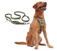 Halti Anatomy Harness & Multifunctional Lead Set | Harness L, Lead L, Green | Padded, Adjustable & Reflective No Pull Dog Harness | Shock-Absorbing Multi-Lead for Large Dogs